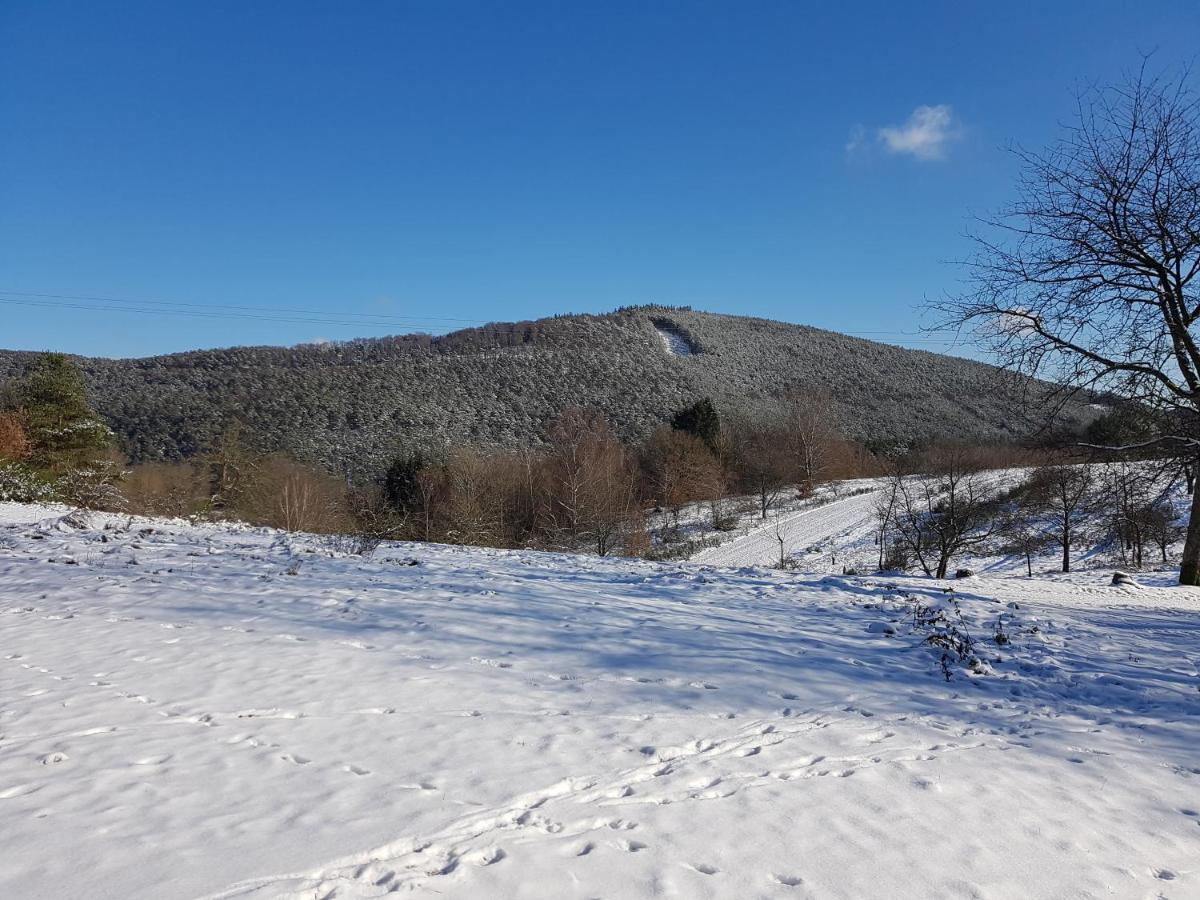 Höllenbergblick Spirkelbach Exterior foto